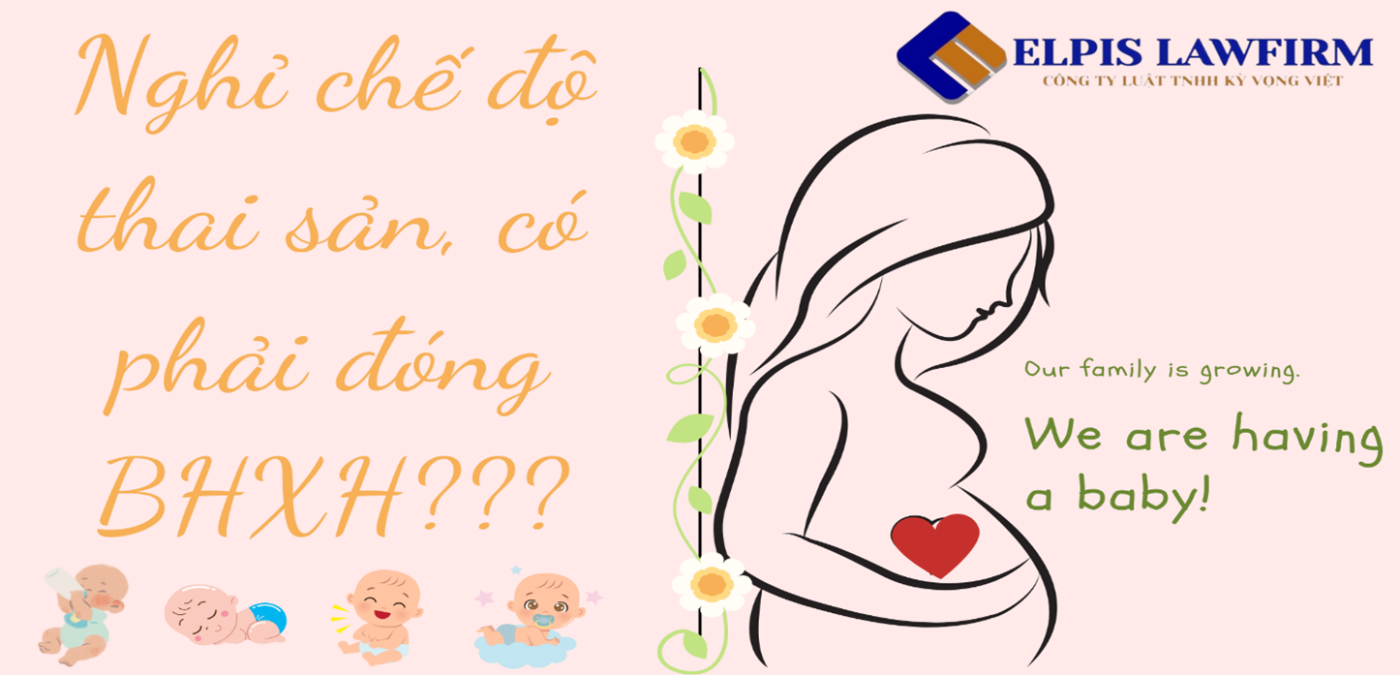 Luật Kỳ Vọng Việt