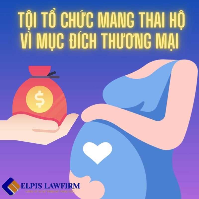 Luật Kỳ Vọng Việt