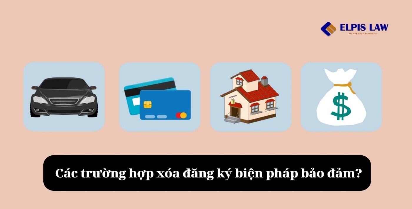 Luật Kỳ Vọng Việt