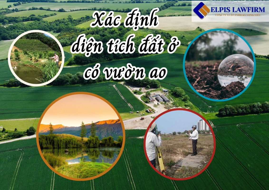 Luật Kỳ Vọng Việt