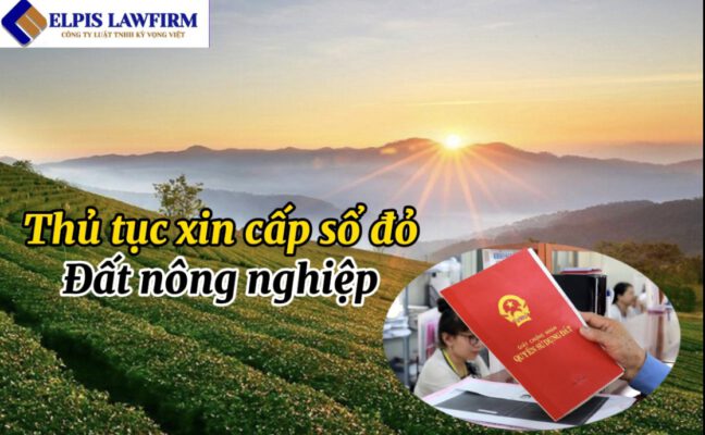 Thủ tục xin cấp sổ đỏ đất nông nghiệp